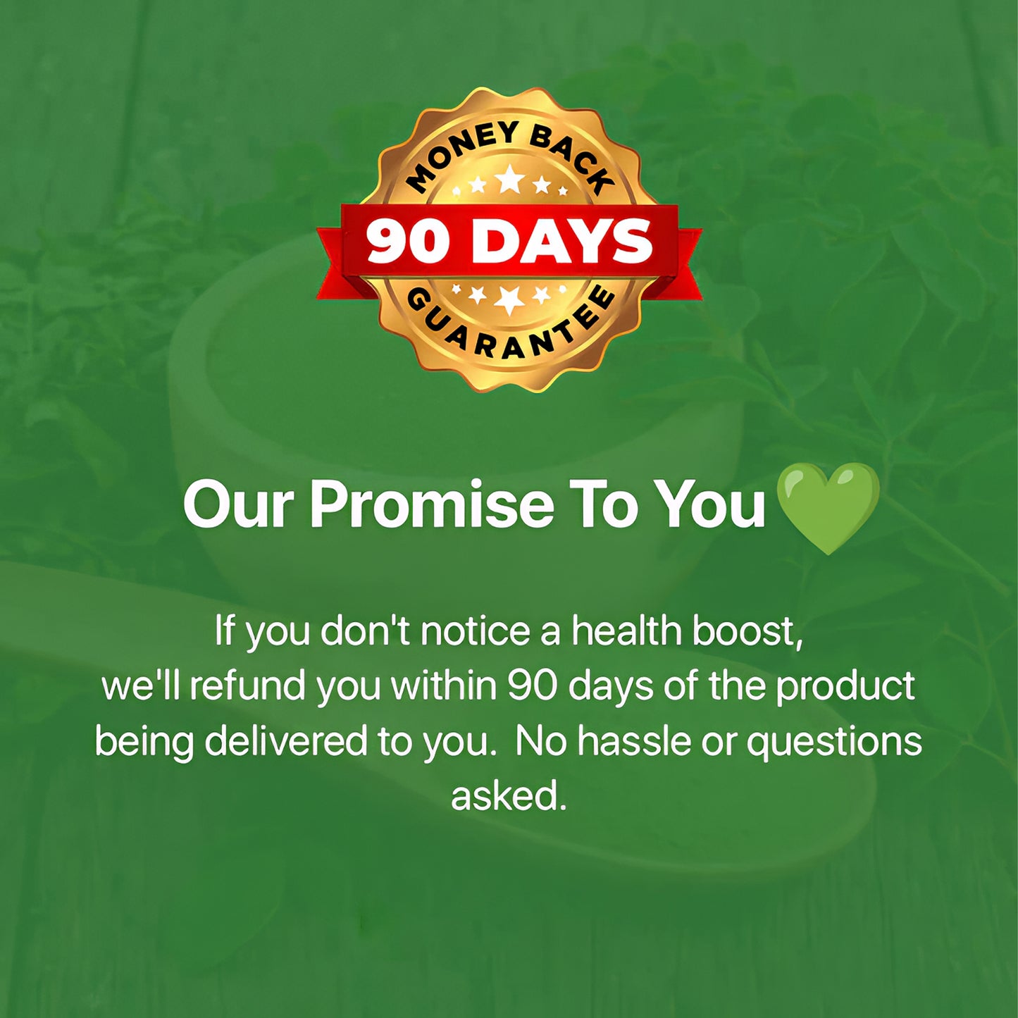 Moringa – Naturally Lowers Cortisol To Help Restore Balance Inside and Out