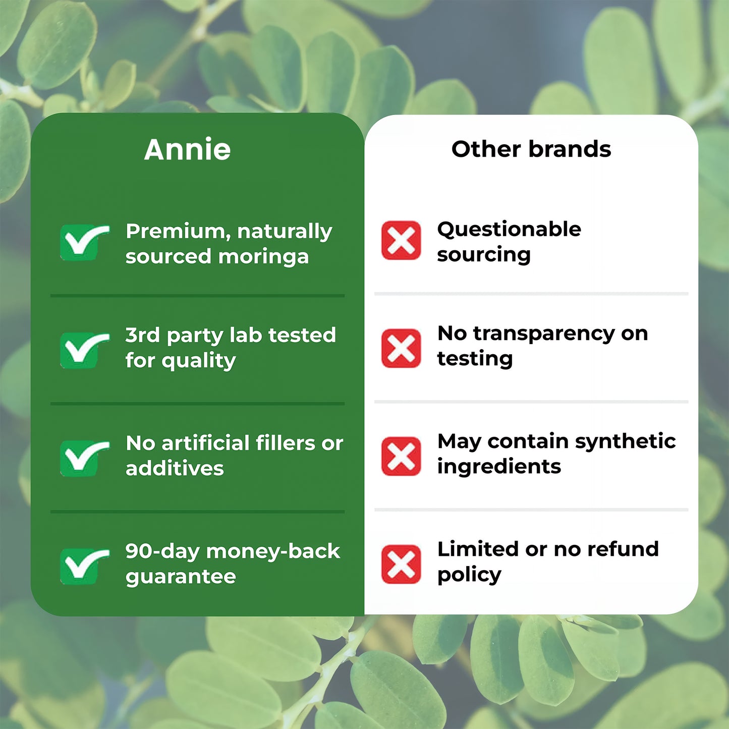 Moringa – Naturally Lowers Cortisol To Help Restore Balance Inside and Out