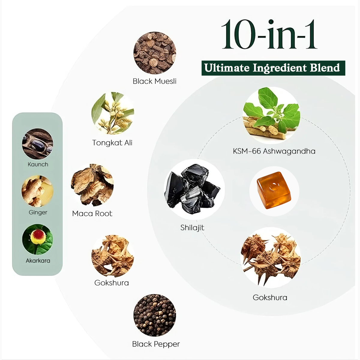 10-1 Alpha Gummies | 4000 mg Pure Himalayan Shilajit | No Added Sugar