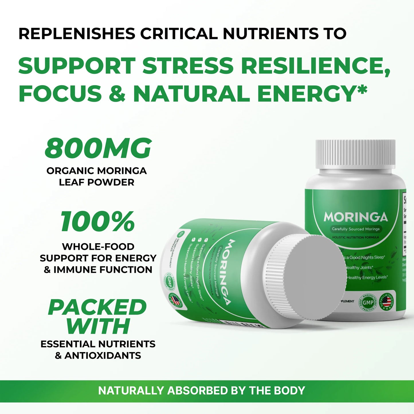 Moringa – Naturally Lowers Cortisol To Help Restore Balance Inside and Out