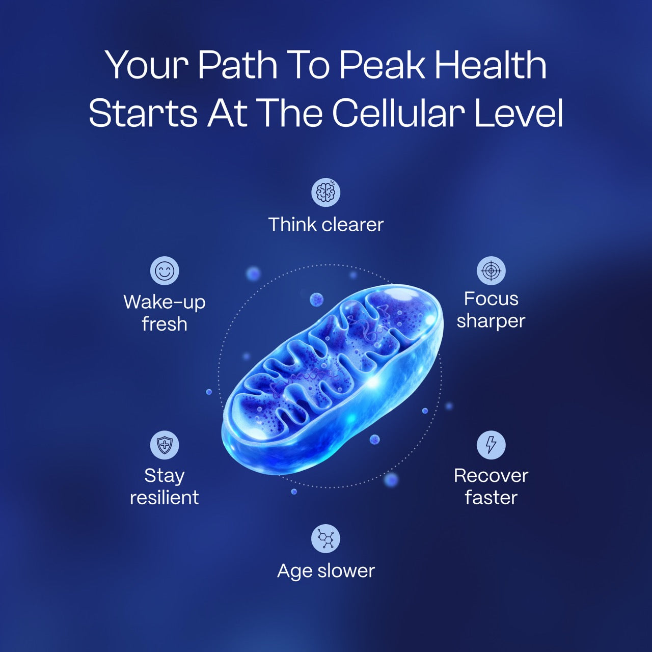 Ultimate Methylene Blue 1% 30mL (1.0 oz)