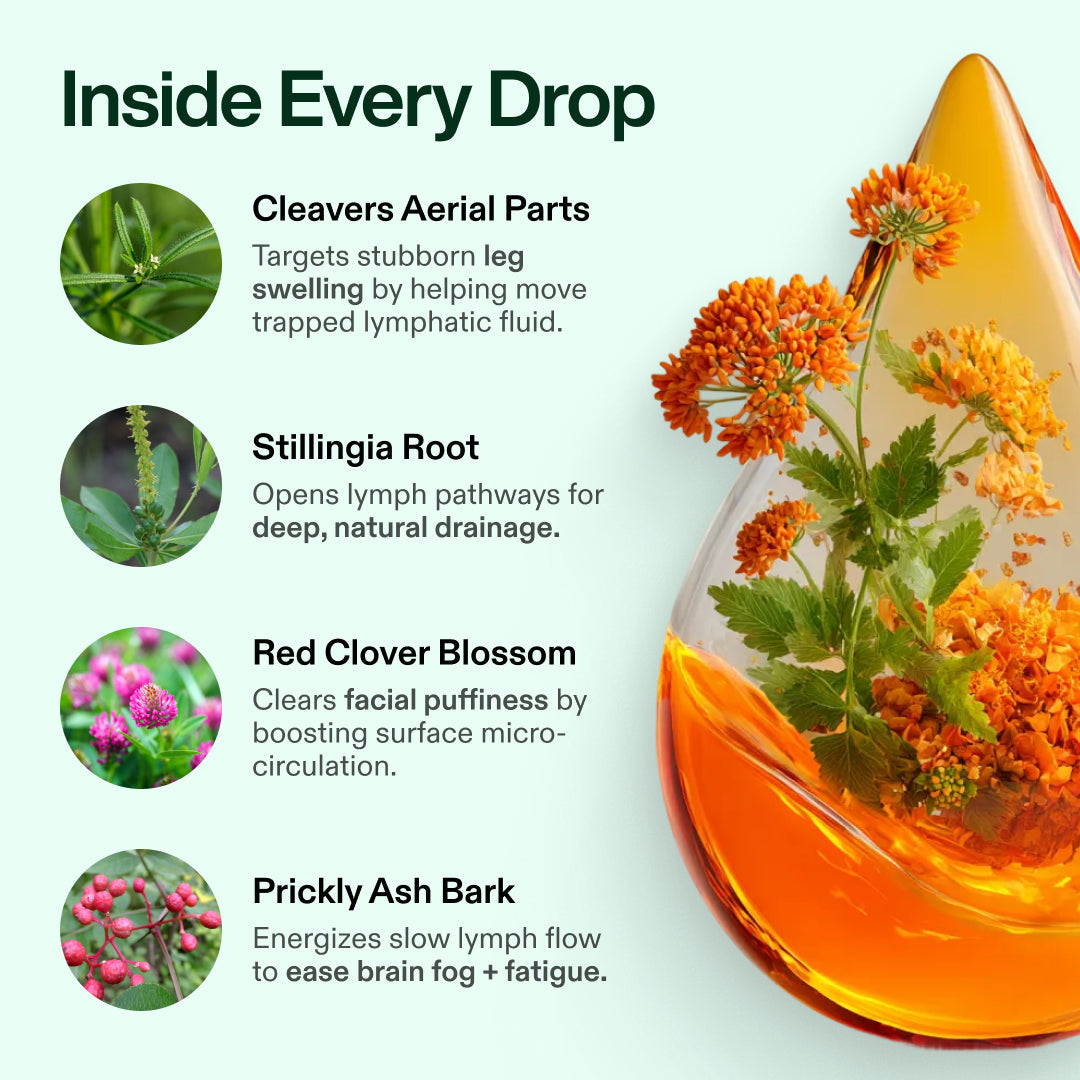 Lymphatic Drainage Wellness Drops